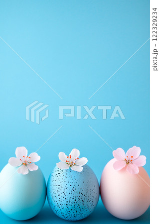 Easter blue background with three Easter eggs decorated with live flowers of spring trees. Banner with copy space, for text 122329234