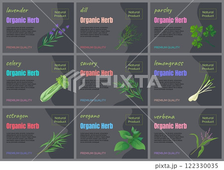 Herbal leaves icons. Organic herbs. Fresh lemongrass and dill. Natural plant product. Greengrocery food labels. Premium quality. Vegetarian ingredient. Vector design marketing banners set Herbal leaves icons. Organic herbs. Fresh lemongrass and dill. Natural plant product. Greengrocery food labels. Premium quality. Vegetarian ingredient. Vector design marketing banners set 122330035