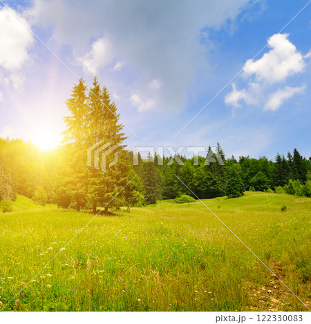 Carpathian mountains, coniferous forest, meadow and bright sunrise. 122330083