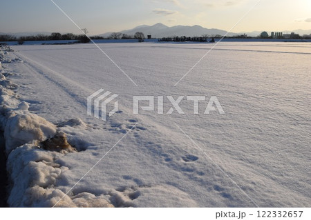 雪国の田園風景 山形県庄内 雪国の田園風景 山形県庄内 122332657