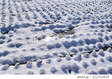 雪国の田園風景 山形県庄内 雪国の田園風景 山形県庄内 122332659