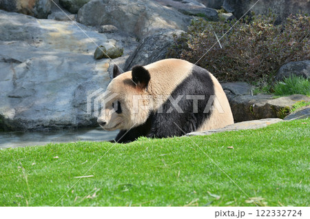 ほっこり入浴中の永明 122332724