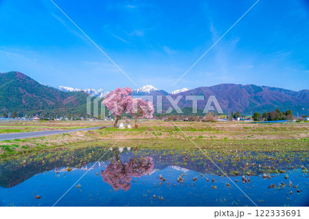 【桜素材】安曇野市春の原風景・常念道祖神の桜【長野県】 122333691