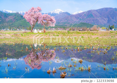 【桜素材】安曇野市春の原風景・常念道祖神の桜【長野県】 122333698