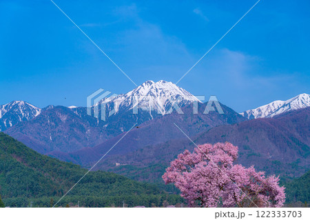 【桜素材】安曇野市春の原風景・常念道祖神の桜【長野県】 122333703