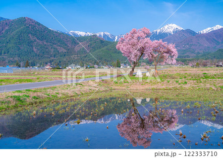 【桜素材】安曇野市春の原風景・常念道祖神の桜【長野県】 122333710