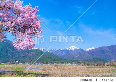 【桜素材】安曇野市春の原風景・常念道祖神の桜【長野県】 【桜素材】安曇野市春の原風景・常念道祖神の桜【長野県】 122333718