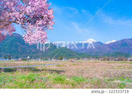 【桜素材】安曇野市春の原風景・常念道祖神の桜【長野県】 【桜素材】安曇野市春の原風景・常念道祖神の桜【長野県】 122333719