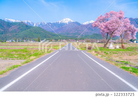 【桜素材】安曇野市春の原風景・常念道祖神の桜【長野県】 【桜素材】安曇野市春の原風景・常念道祖神の桜【長野県】 122333725