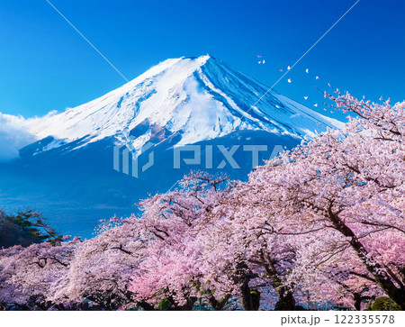 富士山と桜 122335578