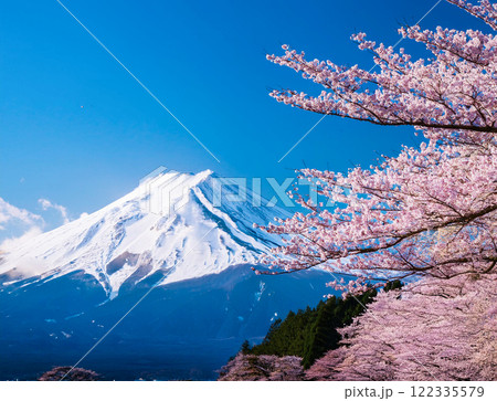 富士山と桜 122335579