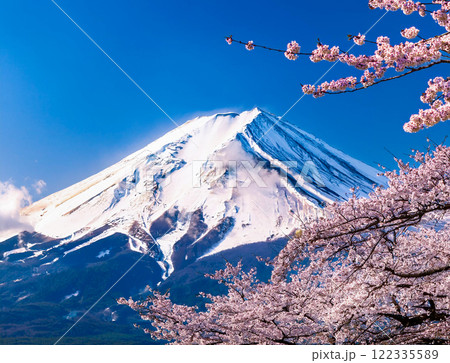富士山と桜 122335589