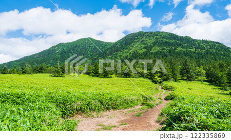 夏の四阿山・根子岳登山(根子岳~四阿山) 夏の四阿山・根子岳登山(根子岳~四阿山) 122335869