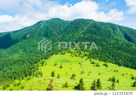 夏の四阿山・根子岳登山(根子岳~四阿山) 夏の四阿山・根子岳登山(根子岳~四阿山) 122335870