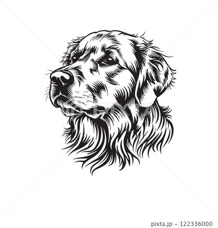 Vector illustration of a golden retriever dog head, showcasing intricate details and a cheerful expression, perfect for tattoo designs. Pet. Animals. 122336000