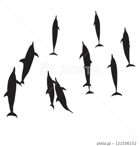 Top View Dolphin Silhouette Vector 122336152