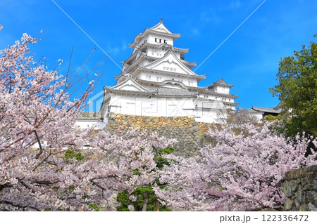 【兵庫県】晴天の姫路城と満開の桜 122336472
