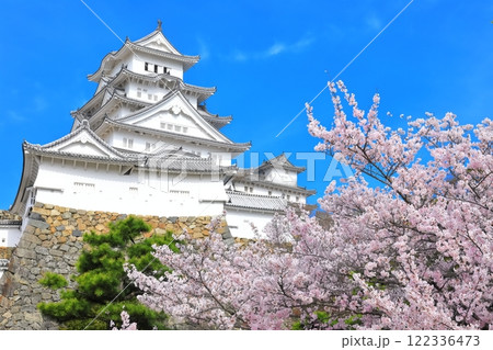 【兵庫県】晴天の姫路城と満開の桜 122336473