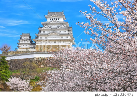 【兵庫県】晴天の姫路城と満開の桜 122336475