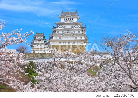 【兵庫県】晴天の姫路城と満開の桜 122336476