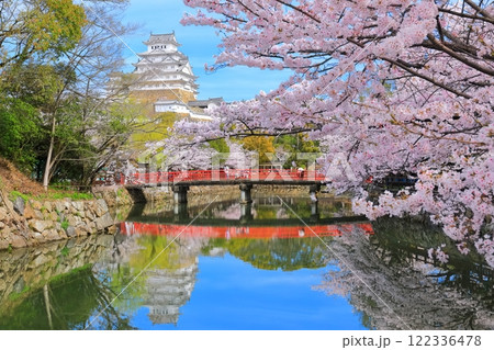 【兵庫県】晴天の姫路城の内堀と満開の桜 122336478