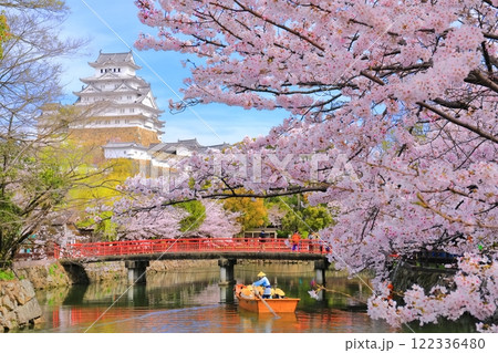 【兵庫県】満開の桜と姫路城の和船 122336480