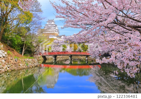 【兵庫県】晴天の姫路城の内堀と満開の桜 122336481