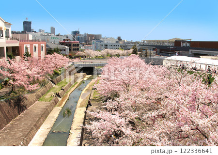 延伸開業した北大阪急行電鉄新駅箕面萱野駅の駅前広場と桜並木 122336641