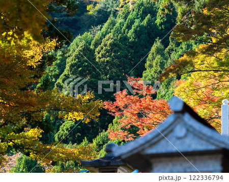 日本の美しい秋景色　石灯籠と鮮やかな紅葉 122336794