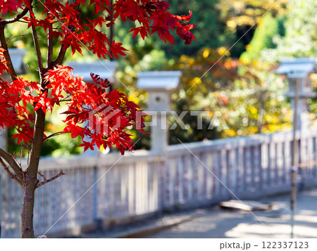 日本の美しい秋景色 石灯籠と鮮やかな紅葉 日本の美しい秋景色 石灯籠と鮮やかな紅葉 122337123
