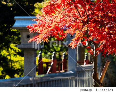 日本の美しい秋景色　石灯籠と鮮やかな紅葉 122337124