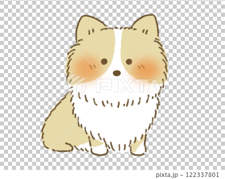 Illustration of a sitting beige corgi, hand-drawn style 122337801