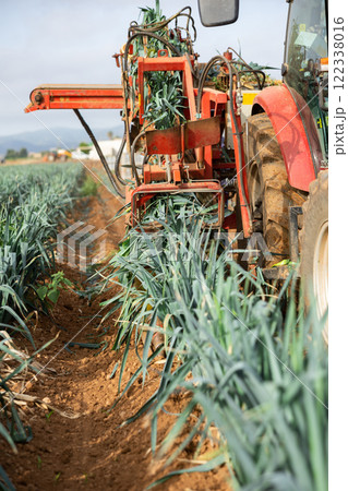 Agricultural machine digging leeks from soil with rotary blades Agricultural machine digging leeks from soil with rotary blades 122338016