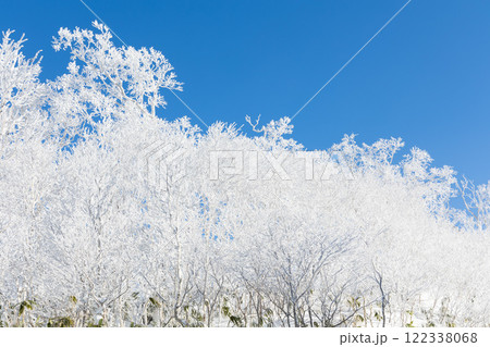 霧氷の森 霧氷の森 122338068