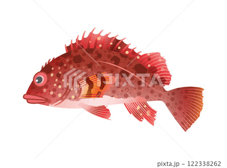 カサゴ 122338262