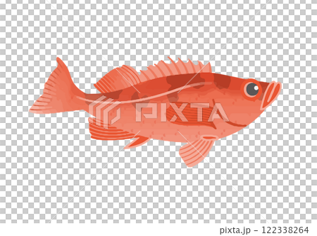 Alaska Pacific ocean perch 122338264