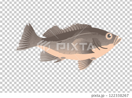 ナガメヌケ ナガメヌケ 122338267