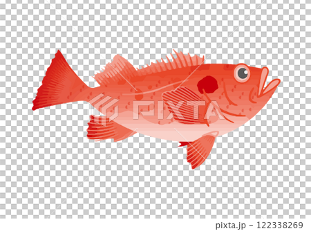 Akodai Akodai 122338269