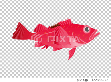 Kitschigi Kitschigi 122338272