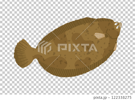 ナメタガレイ ナメタガレイ 122338275