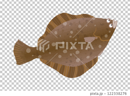 マツカワガレイ 122338276