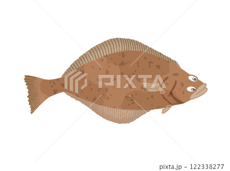 アブラガレイ 122338277