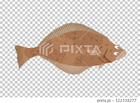 アブラガレイ 122338277