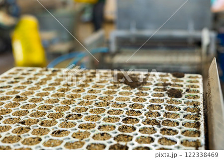 Greenhouse facilities. Automatic conveyor for planting seeds in greenhouse Greenhouse facilities. Automatic conveyor for planting seeds in greenhouse 122338469
