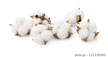 綿花 122338568