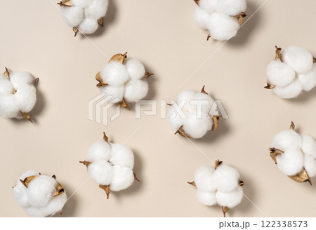 綿花 122338573