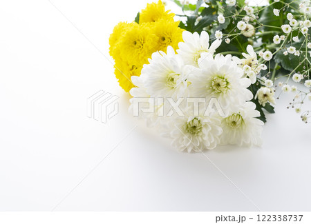 菊の花 菊の花 122338737