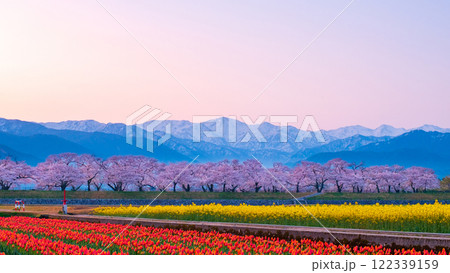あさひ舟川・春の四重奏 あさひ舟川・春の四重奏 122339159