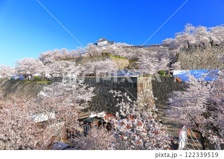 【岡山県】快晴下の津山城の満開桜（備中櫓） 122339519