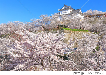 【岡山県】快晴下の津山城の満開桜(備中櫓) 【岡山県】快晴下の津山城の満開桜(備中櫓) 122339522